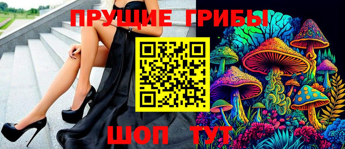 продажа наркотиков  Псилоцибиновые грибы Psilocybe  Вход с VPN  Новокубанск 